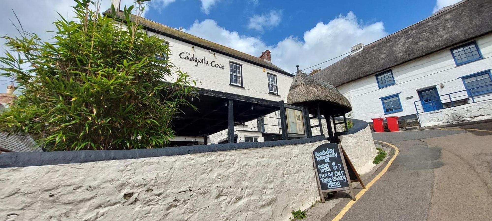 Cadgwith Cove Inn エクステリア 写真