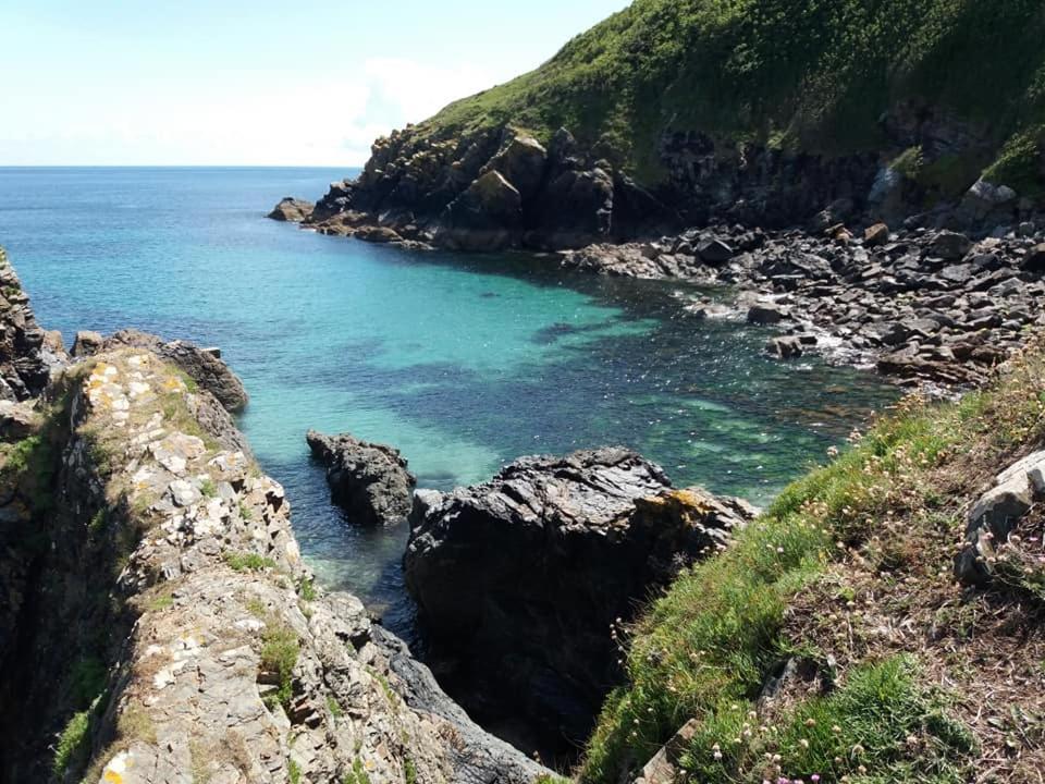 Cadgwith Cove Inn エクステリア 写真