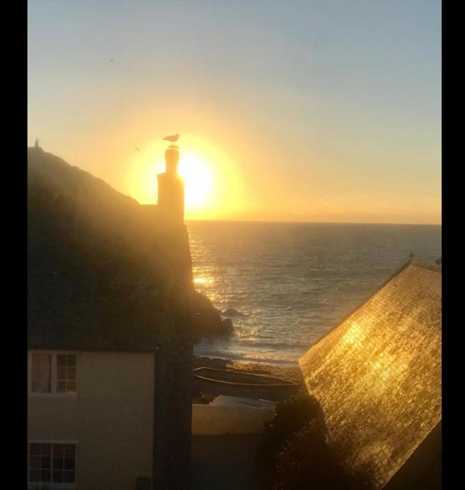 Cadgwith Cove Inn エクステリア 写真